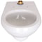 Zurn Elongated Wall Hung Flush Valve Toilet (with Antimicrobial Glaze) Z5615-BWL-AM - alternate 1